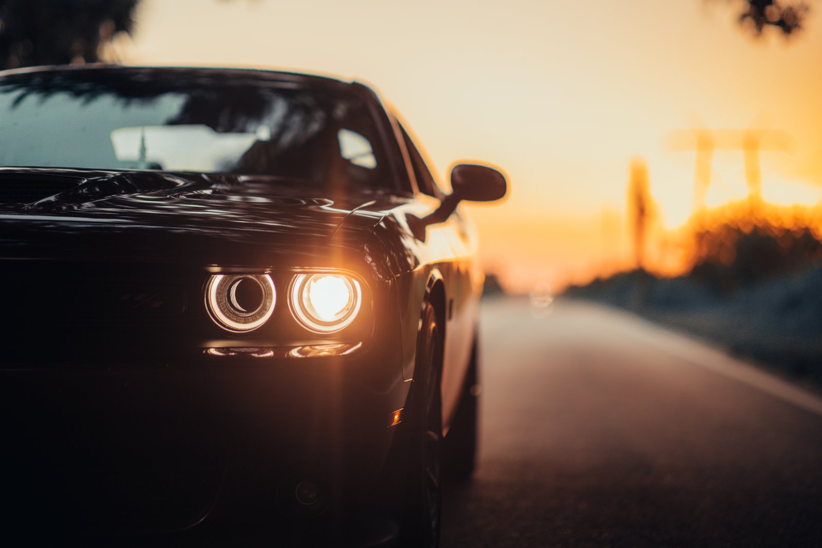 Check the MOT history of a vehicle